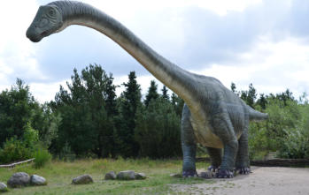 A picture of a dinosaur statue that you can see at Dinosaur World.