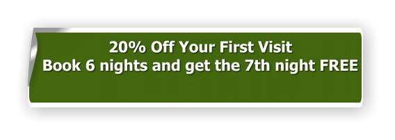 20% Off Your First Visit Book 6 nights and get the 7th night FREE